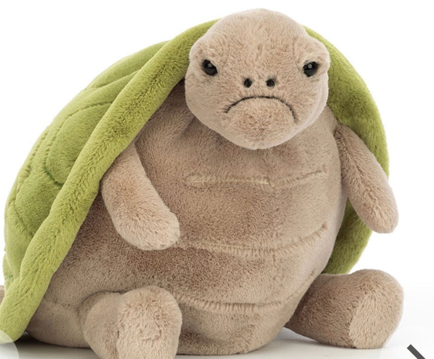 Timmy Turtle JellyCat