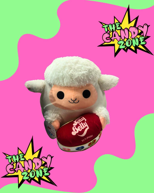 Jumbo Teddy Raffle
